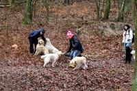 /album/fotogalerie/elsa-aport-klacku-na-pagodu-jpg1/